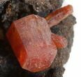 Red Vanadinite Crystals on Manganese Oxide - Morocco #38472-1